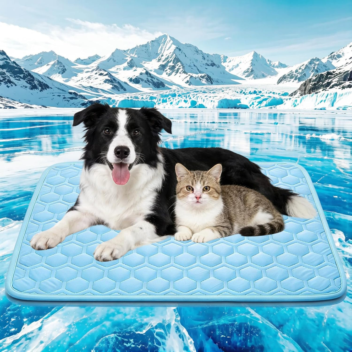 Cooling Mat for Dogs & Cats, Thick Breathable Dog Cooling Mat Q-MAX>0.45