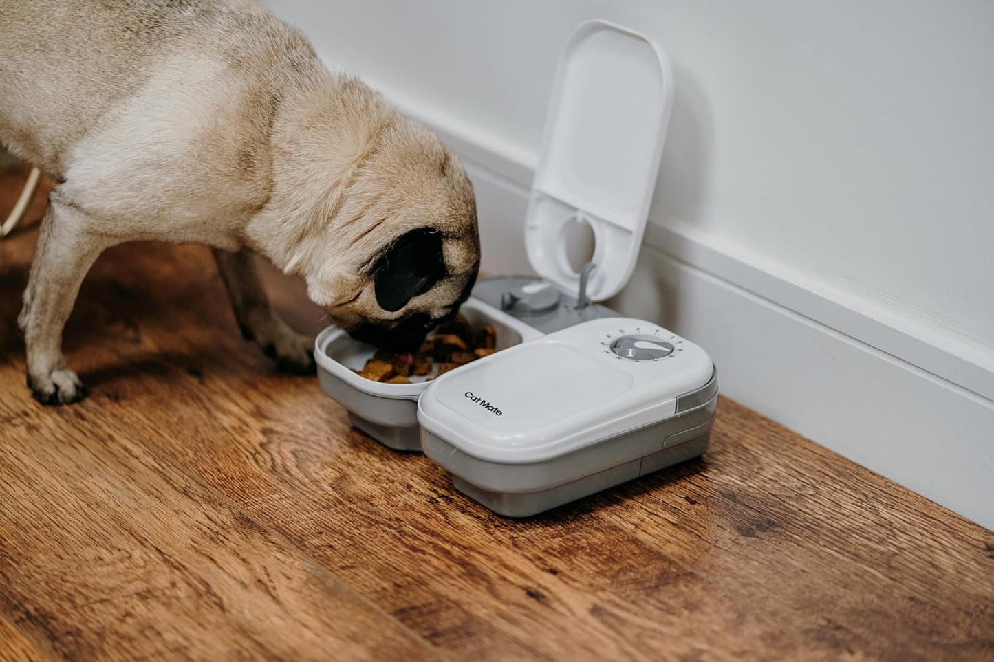Cat Mate Automatic Feeder with Ice Pack for Wet Food - 2 Meal Timed Pet Feeder, No Wifi or App, Portion Control for Cats and Small Dogs, 14 Oz Capacity, Battery Operated