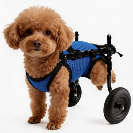Rear Wheels Mobility Aid Cart Dog Wheelchair for Back Legs, XS, Blue