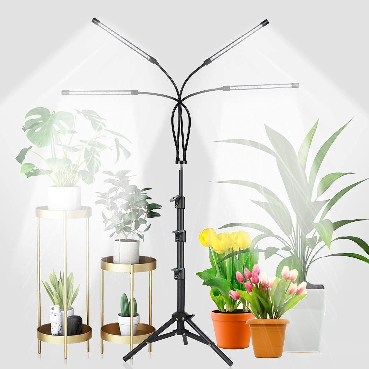 Ghodec Grow Light Free Standing, 5500K Full Spectrum Gooseneck LED Lamp