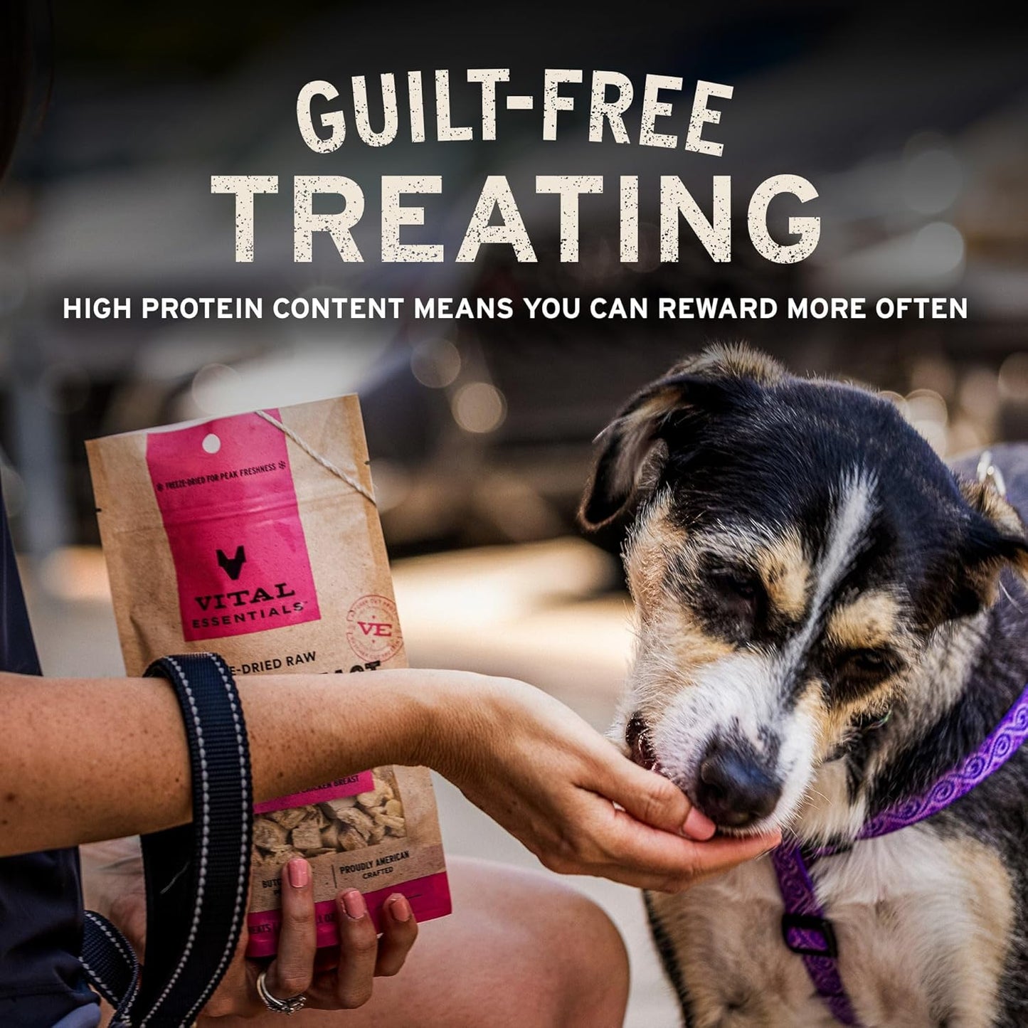 Vital Essentials Freeze Dried Minnows Dog Treats | Single Ingredient | Premium Quality | Grain Free Treats for Dogs, 1 Oz Bag