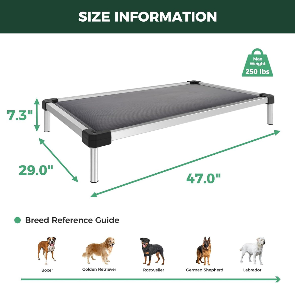 FXW Titannest Padded Chew-Proof Elevated Dog Bed for Large Dogs