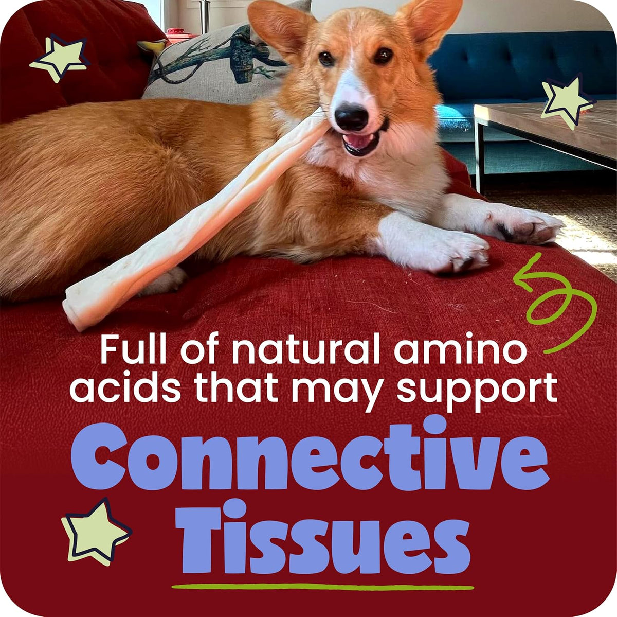 Pawstruck All Natural 5-6" Roasted Collagen Sticks for Dogs – Low Odor & Long-Lasting Bully Stick Alternative, Single Ingredient & Vet Approved – 10 Pack