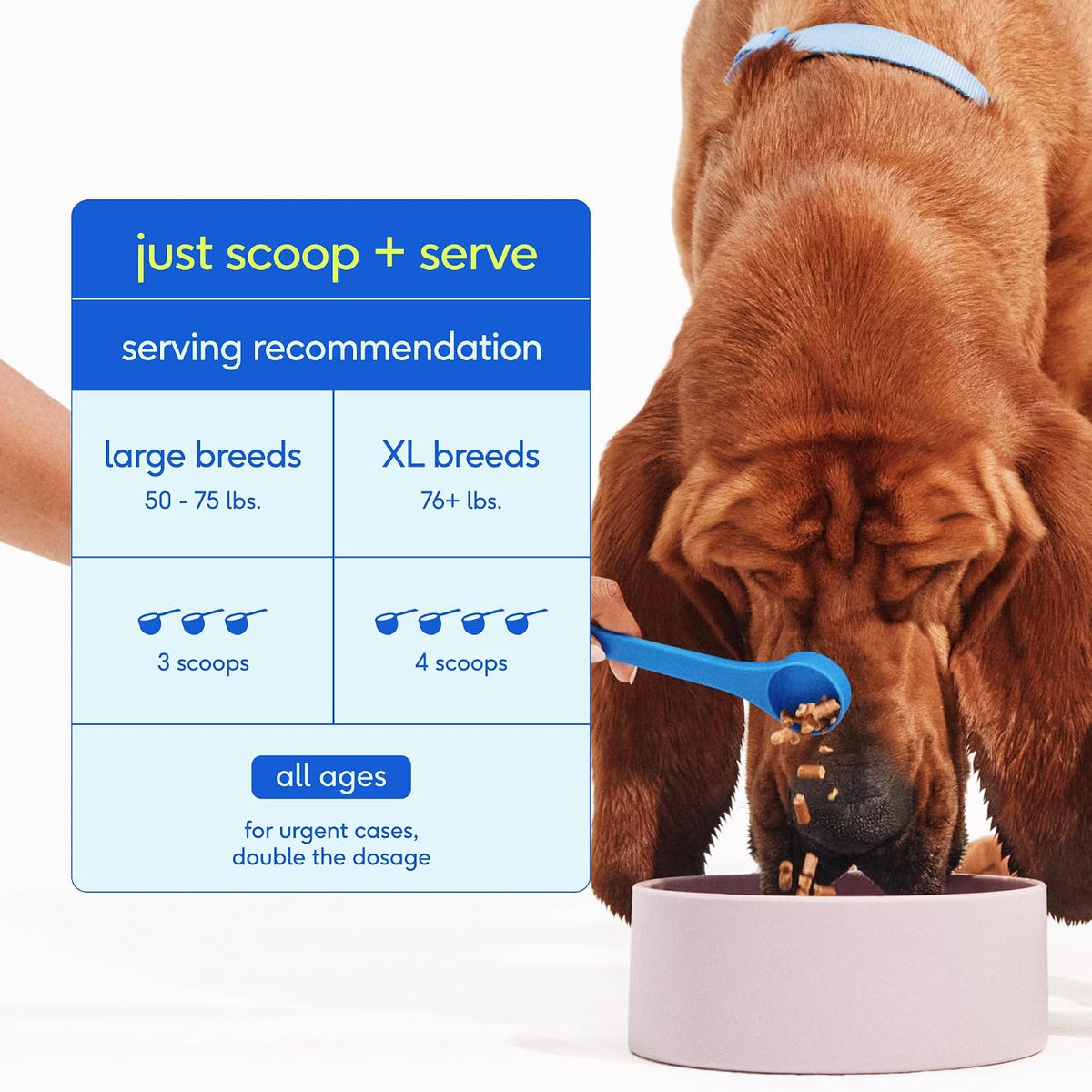 Native Pet Clean Breath Dog Dental Care - Teeth Cleaning for Fresh Breath, Clean Teeth & Healthy Gums - Tartar and Plaque Remover - Dog Breath Freshener - 60 Scoops