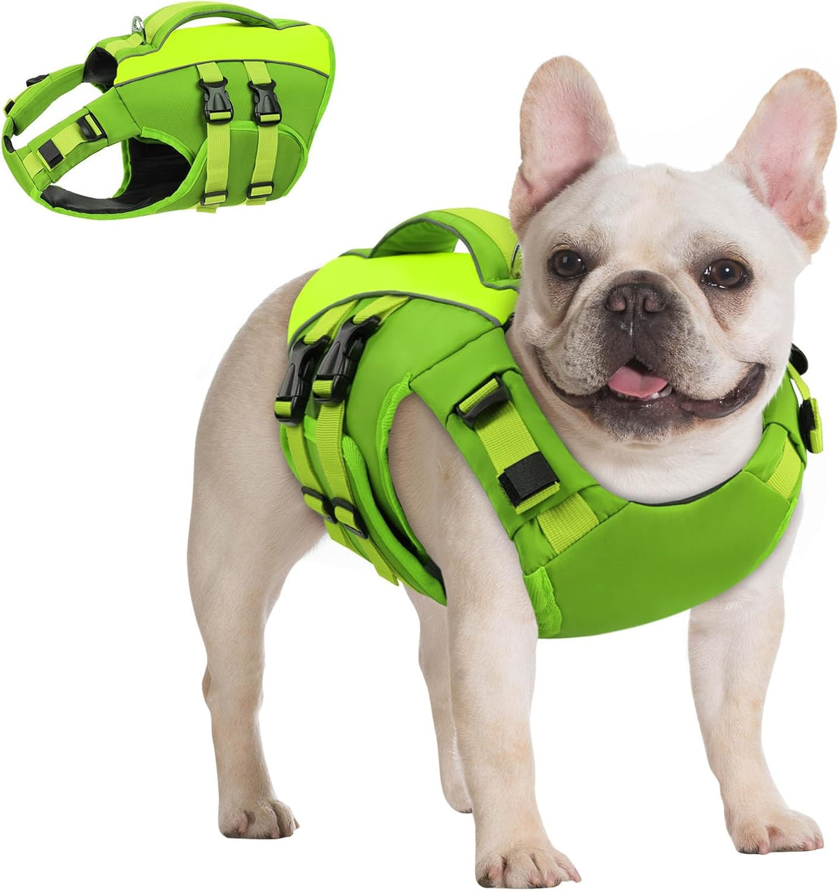 Queenmore Small Dog Life Jacket,Adjustable Small Dog Life Vest for Swimming