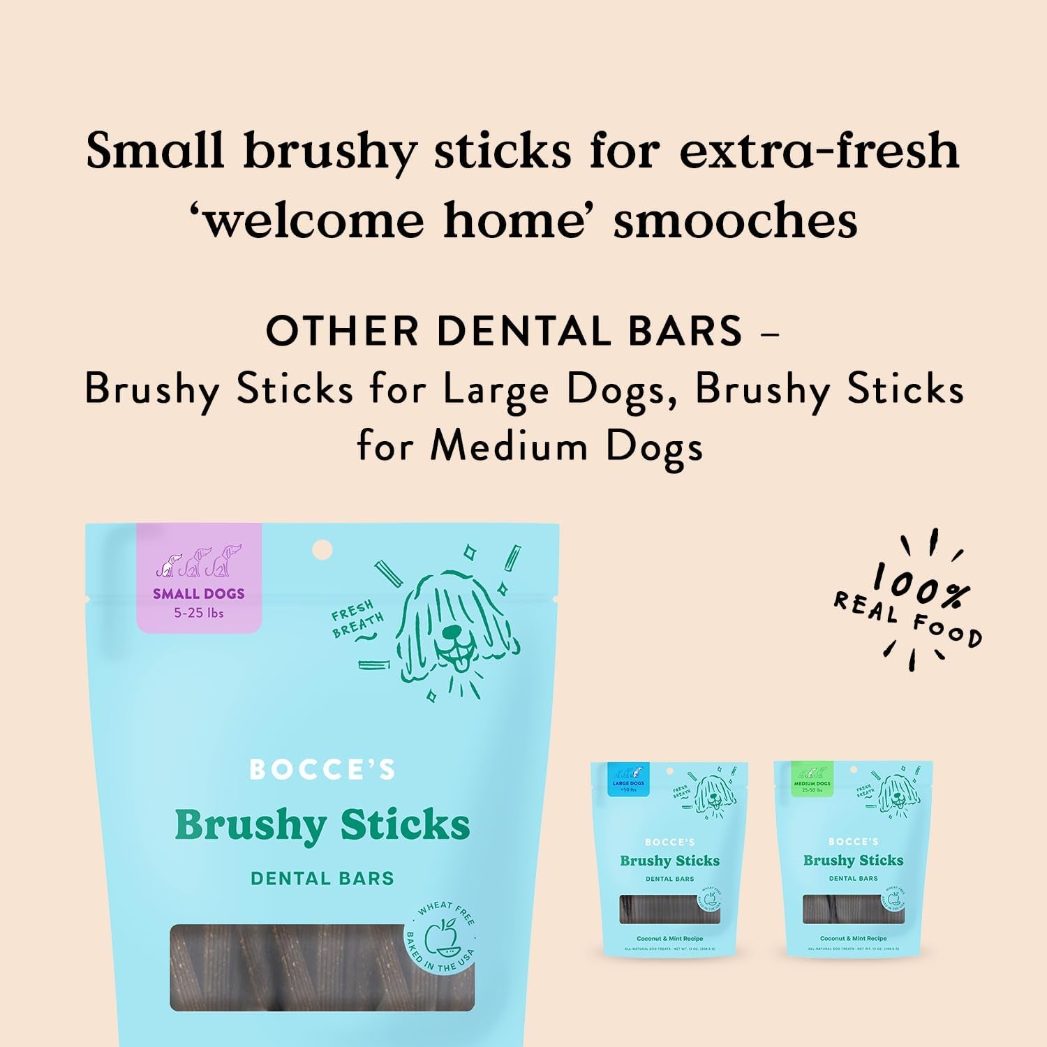 Bocce'S Bakery Dailies Brushy Sticks to Support Oral Health & Fresh Breath, Wheat-Free Dental Bars for Dogs, Made with Real Ingredients, Baked in the USA, Natural Coconut & Mint Recipe, Small Dogs
