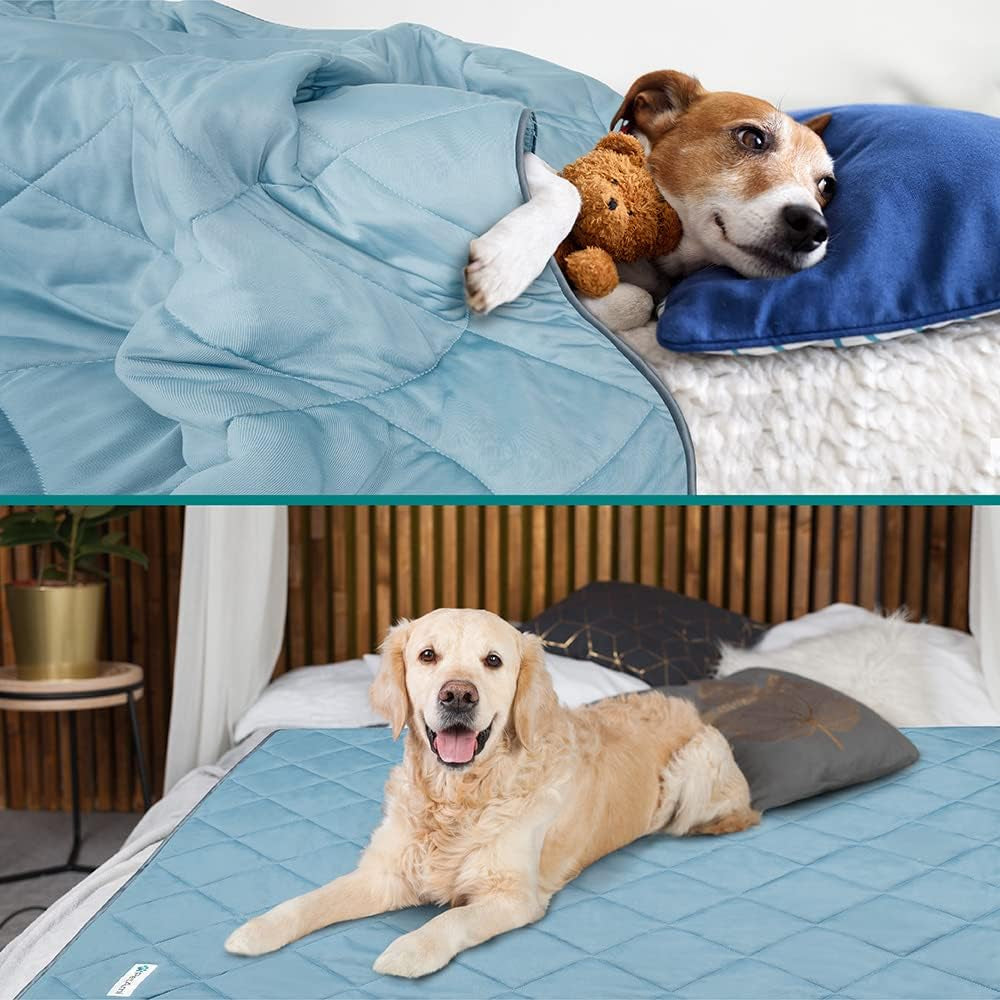 Petami Cooling Dog Blanket Lightweight Soft for Medium Pet Cat, 29X40 Blue