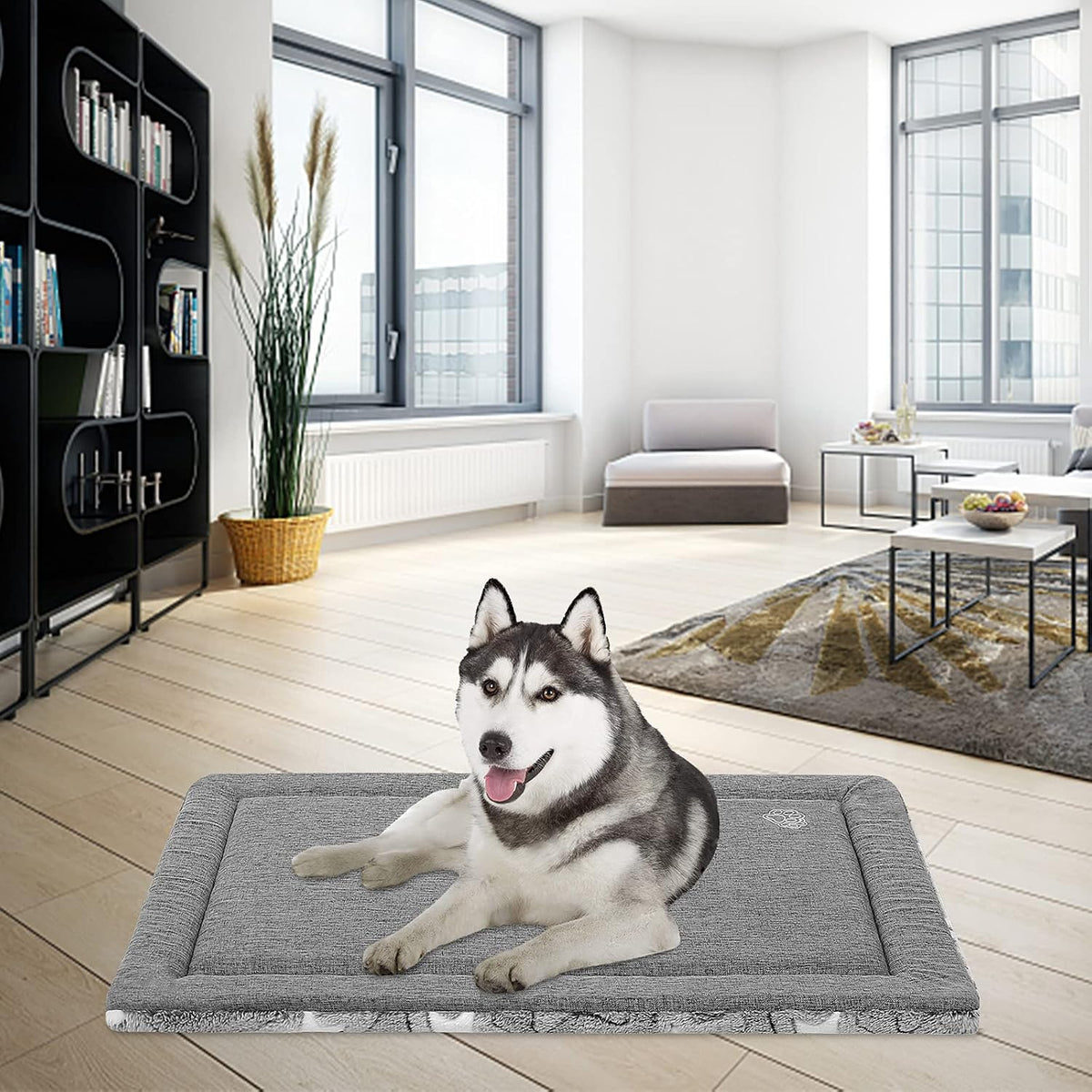 EMPSIGN Dog Crate Pad for 36"X24" Dog Crate, Star Pattern/Grey