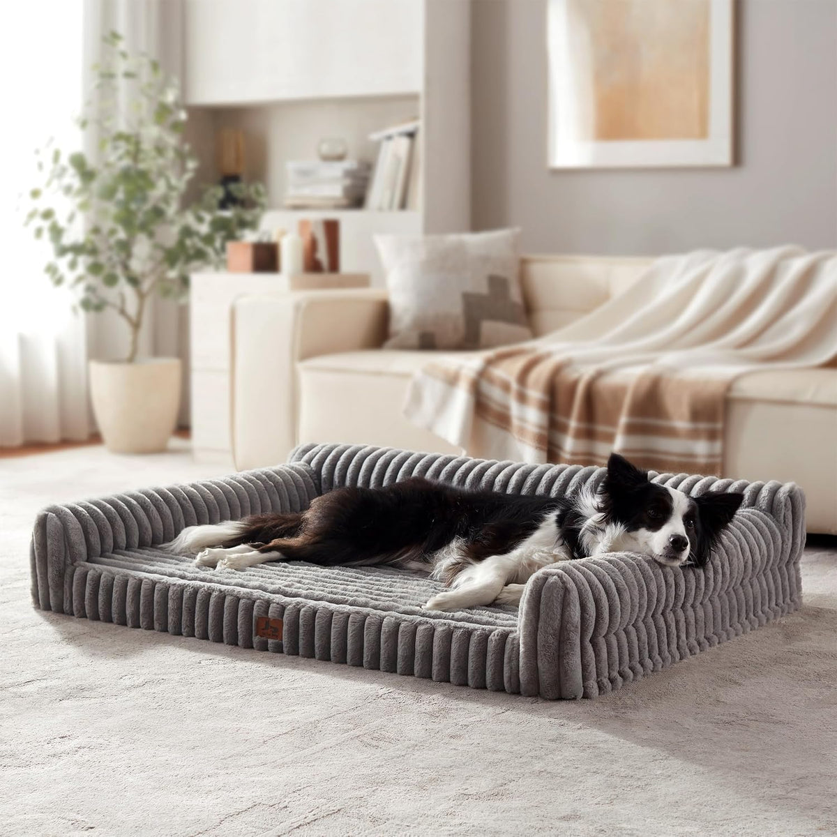 Orthopedic Dog Bed Large 35X25X9.5” Washable Cover Grey