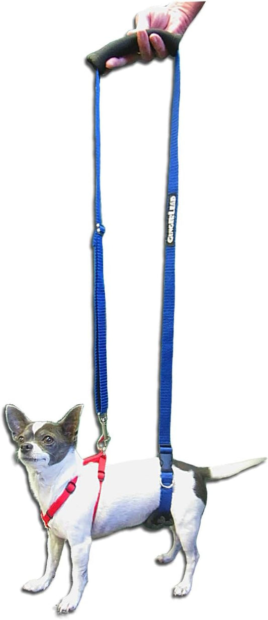 Dog Back Support IVDD Sling Harness, X-Small & Male Dachshunds