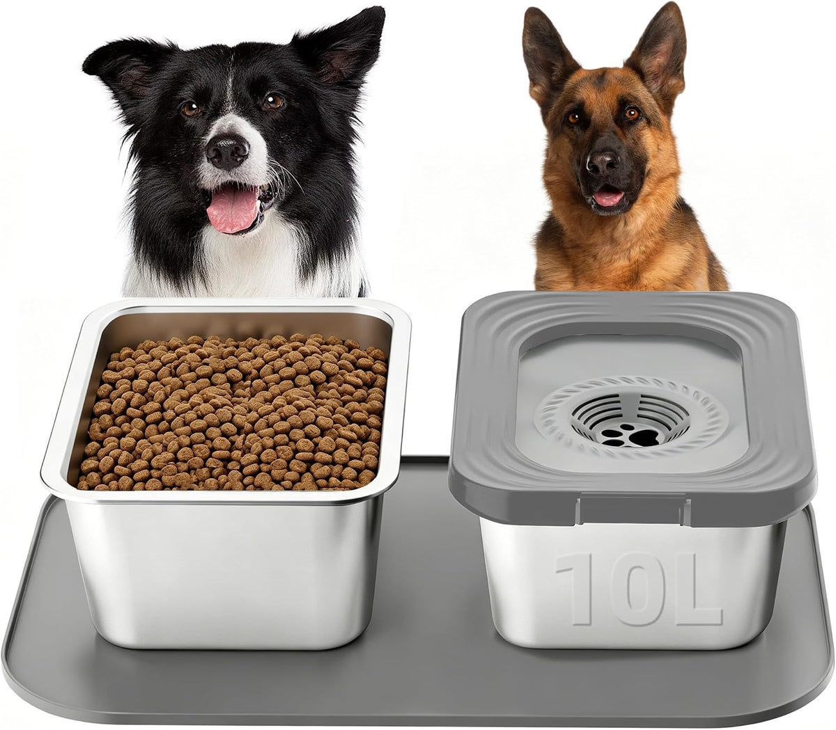 10L No Spill Dog Water Bowl and Stainless Steel Food Bowl with Mat