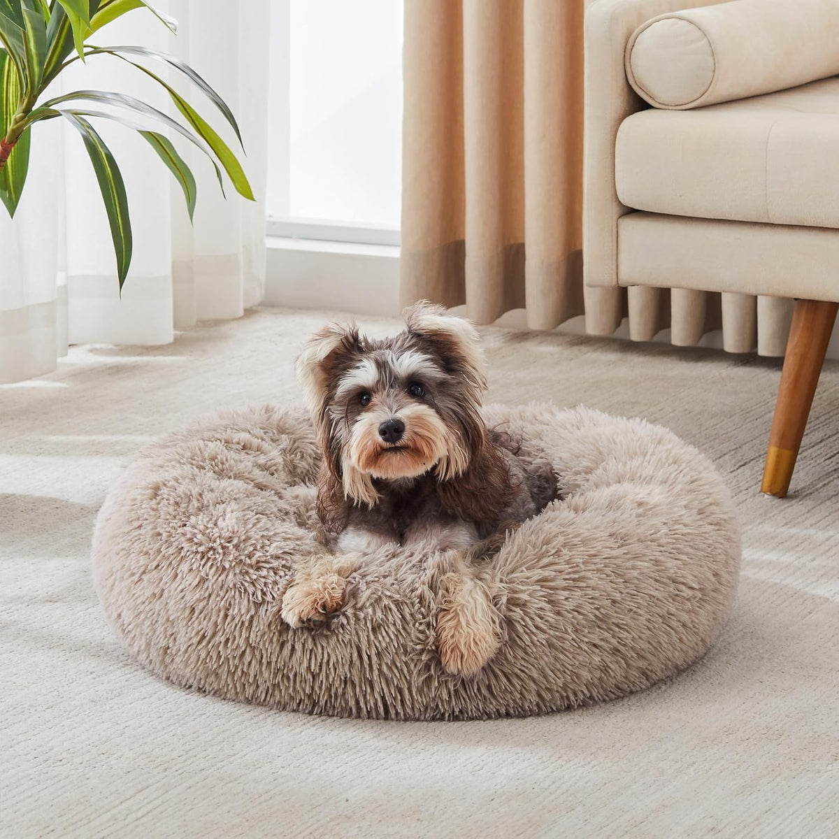 Western Home Calming Donut Small Dog Cat Bed Washable Puppy Bed,24" Brown