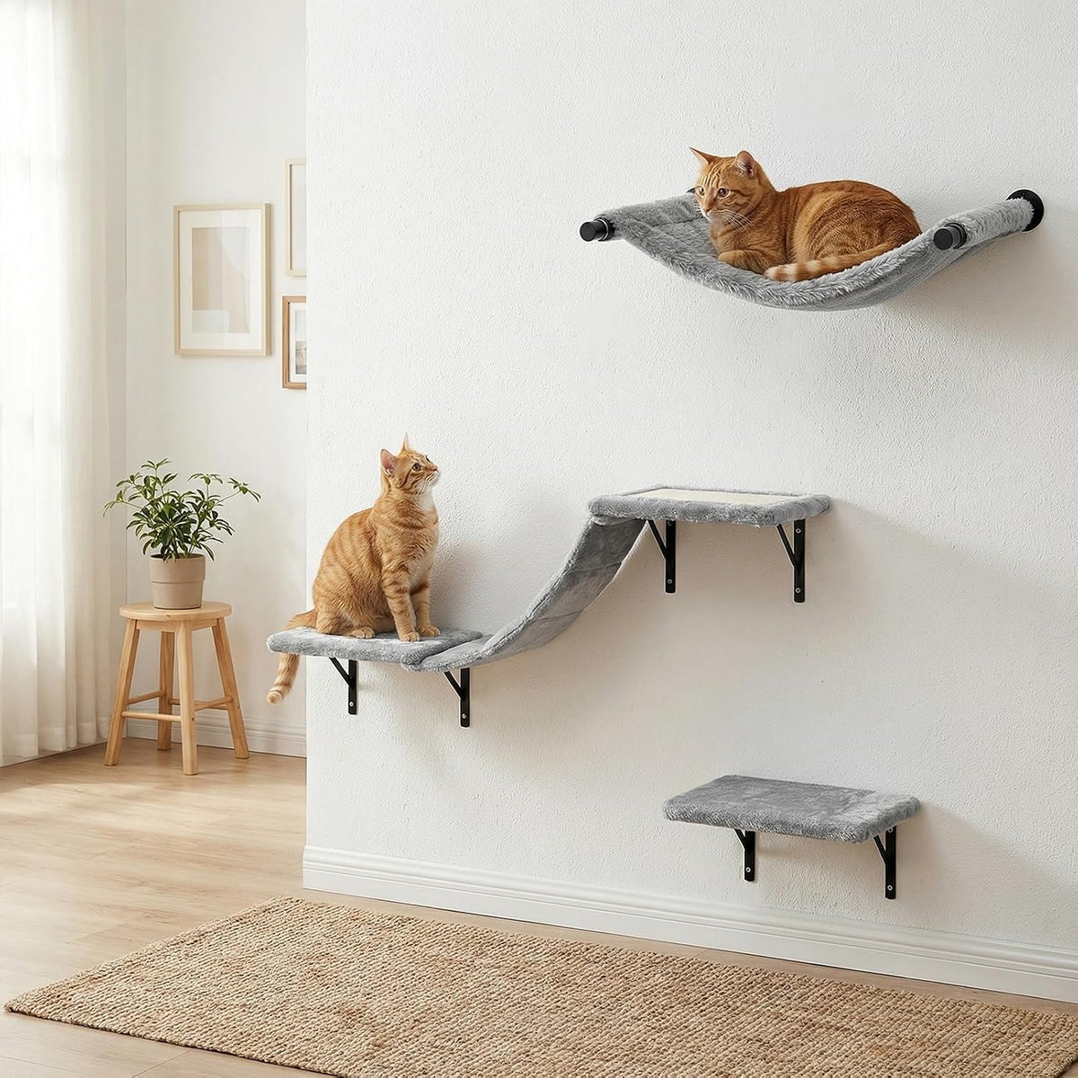 Cat Wall Shelves Set Cat Mounted Climbing Wall System Wall Furniture