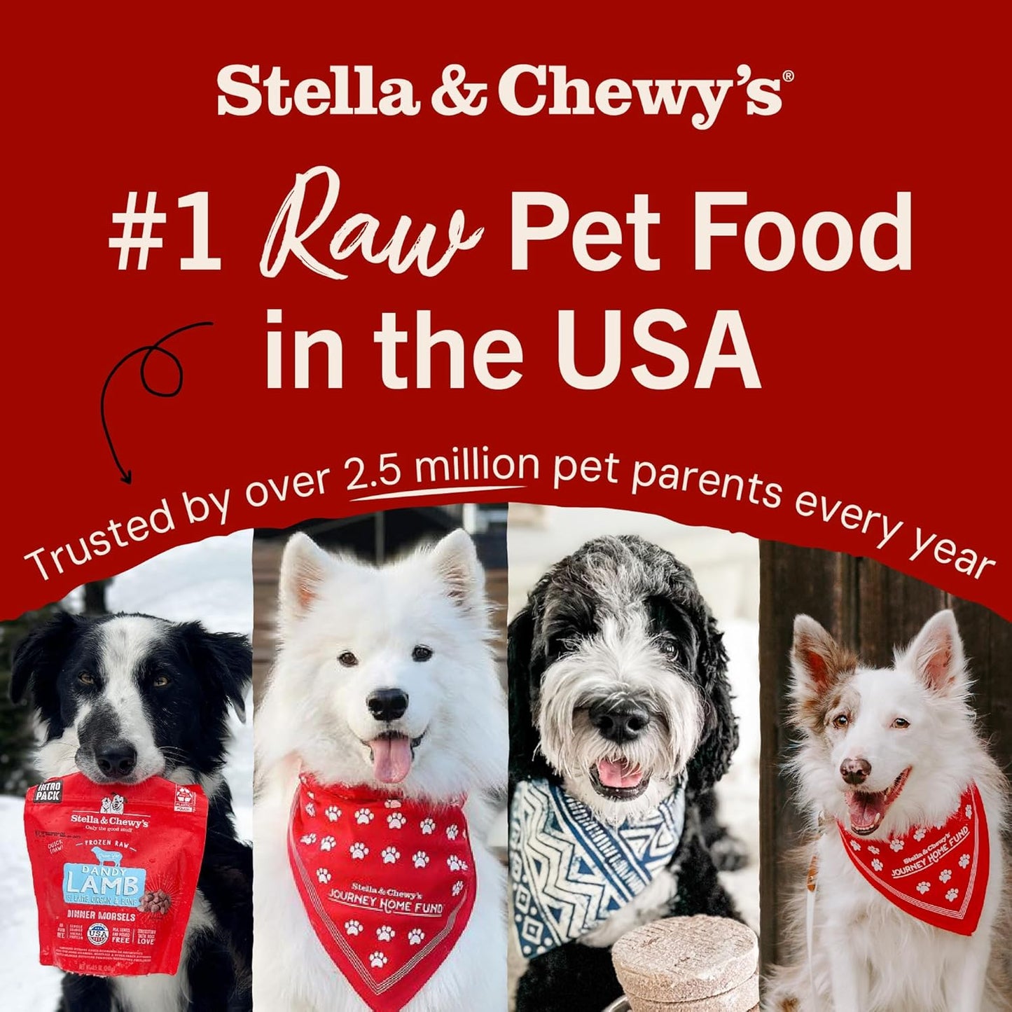 Stella & Chewy'S Freeze-Dried Raw Dinner Patties - Chicken Recipe - High Protein Grain-Free Puppy & Dog Food - Perfect for Picky Eaters - 14 Oz