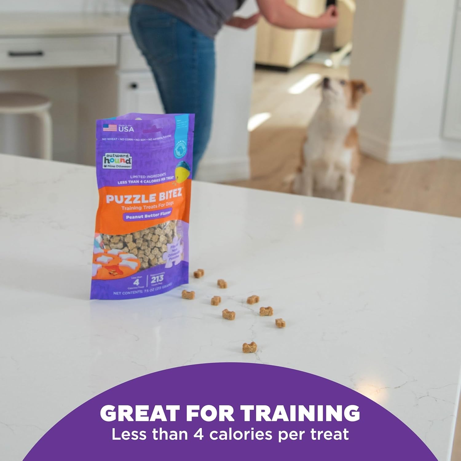 Outward Hound by Nina Ottosson Puzzle Bitez USA Made Dog Treats, Peanut Butter Flavor, Bite-Sized Training Reward and Interactive Puzzle Toy Treats, 7.5Oz