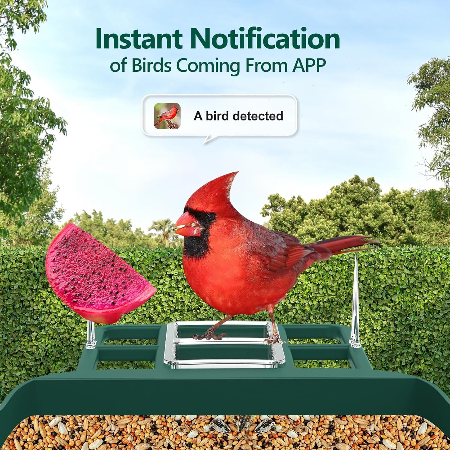 Bird Feeder with Camera,2K Live View,Wifi Smart Bird House with Cam Solar Powered for Outdoor,Night Vision,Ai Identify,Auto Record Video,Real-Time App Alerts,Birdwatching Gifts for Family,Birds Lover