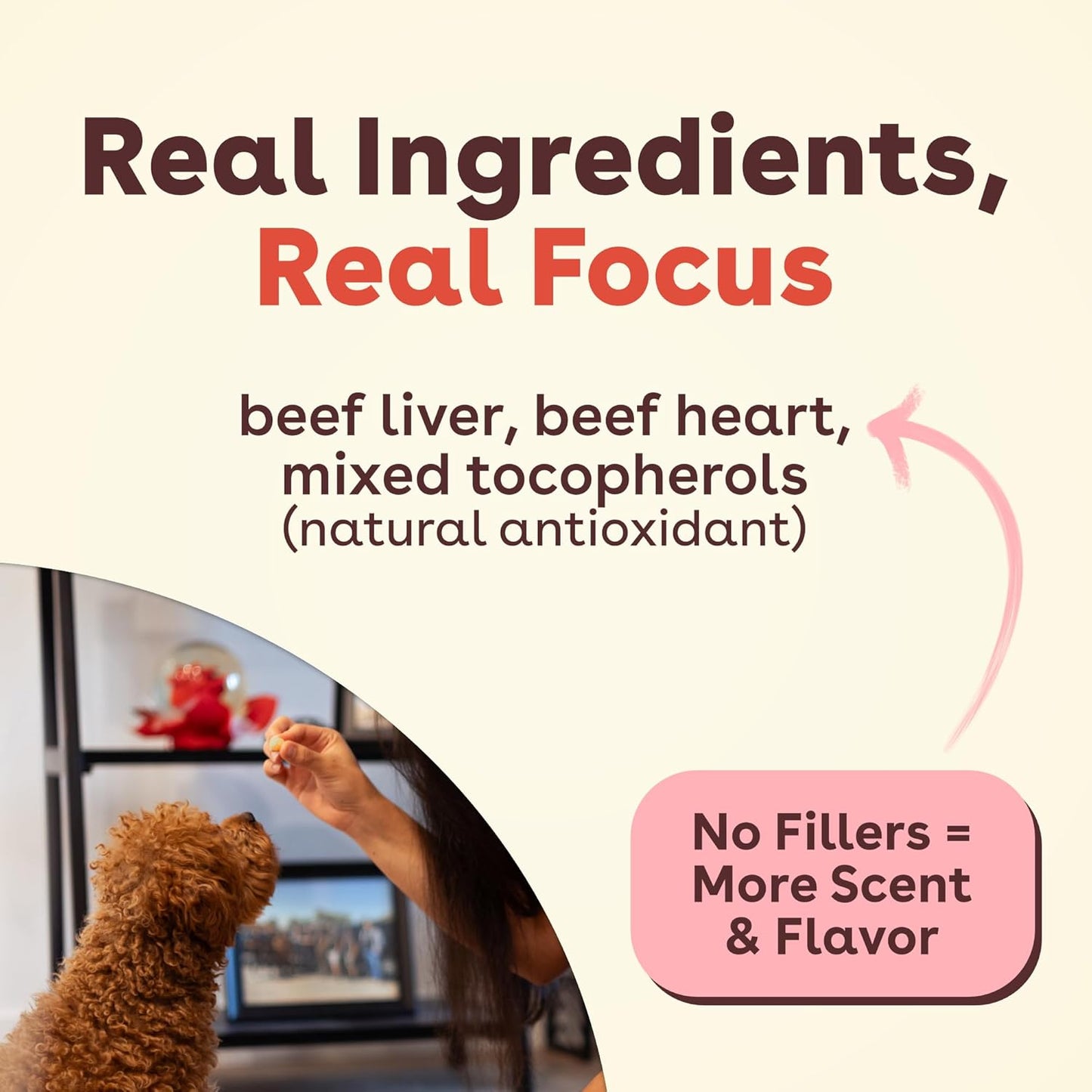 Pupford Freeze Dried Training Treats for Dogs & Puppies, 475+ Three Ingredient Bites (Beef Liver, 4 Oz)