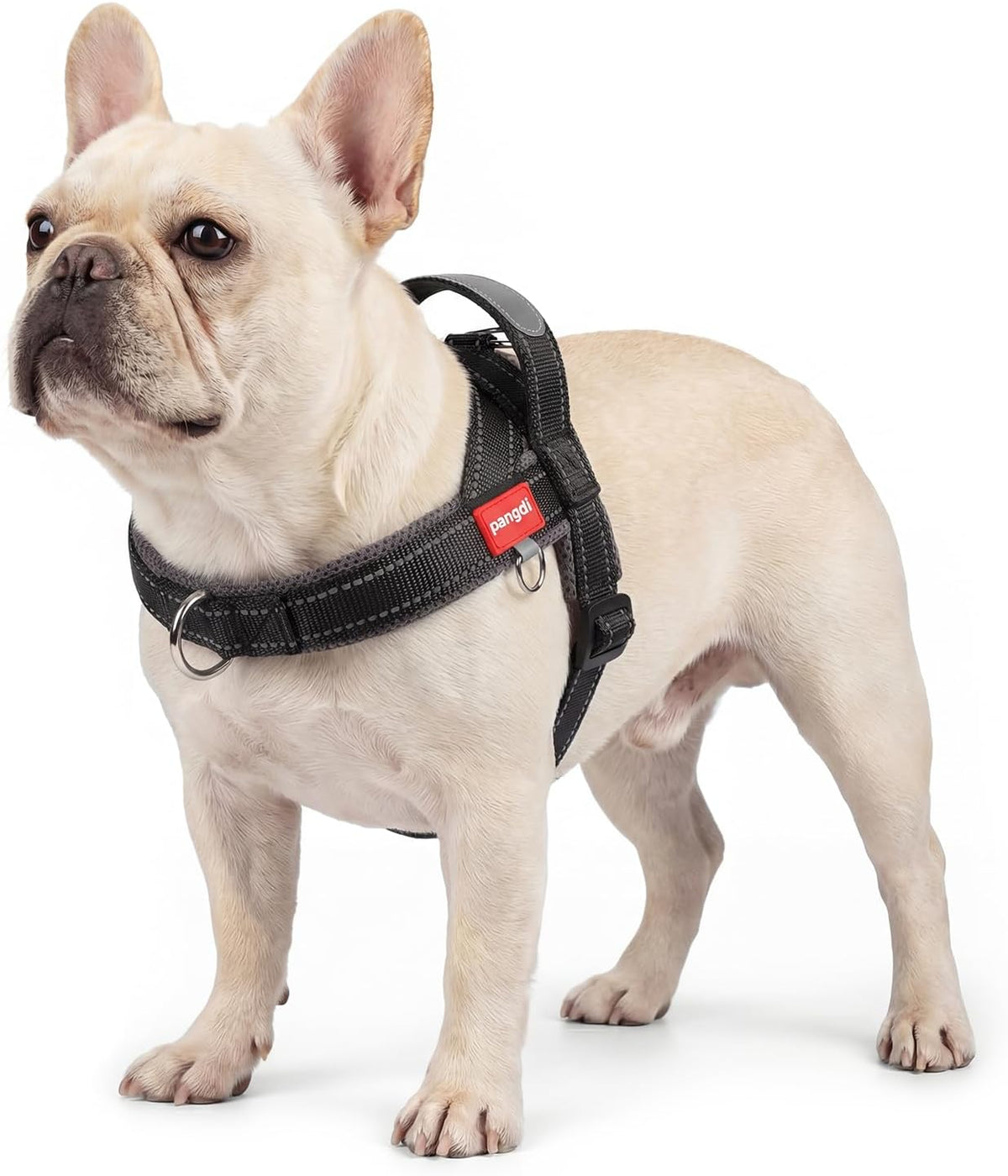 No Pull Dog Harness with Handle, Reflective Dog Vest, Black, L