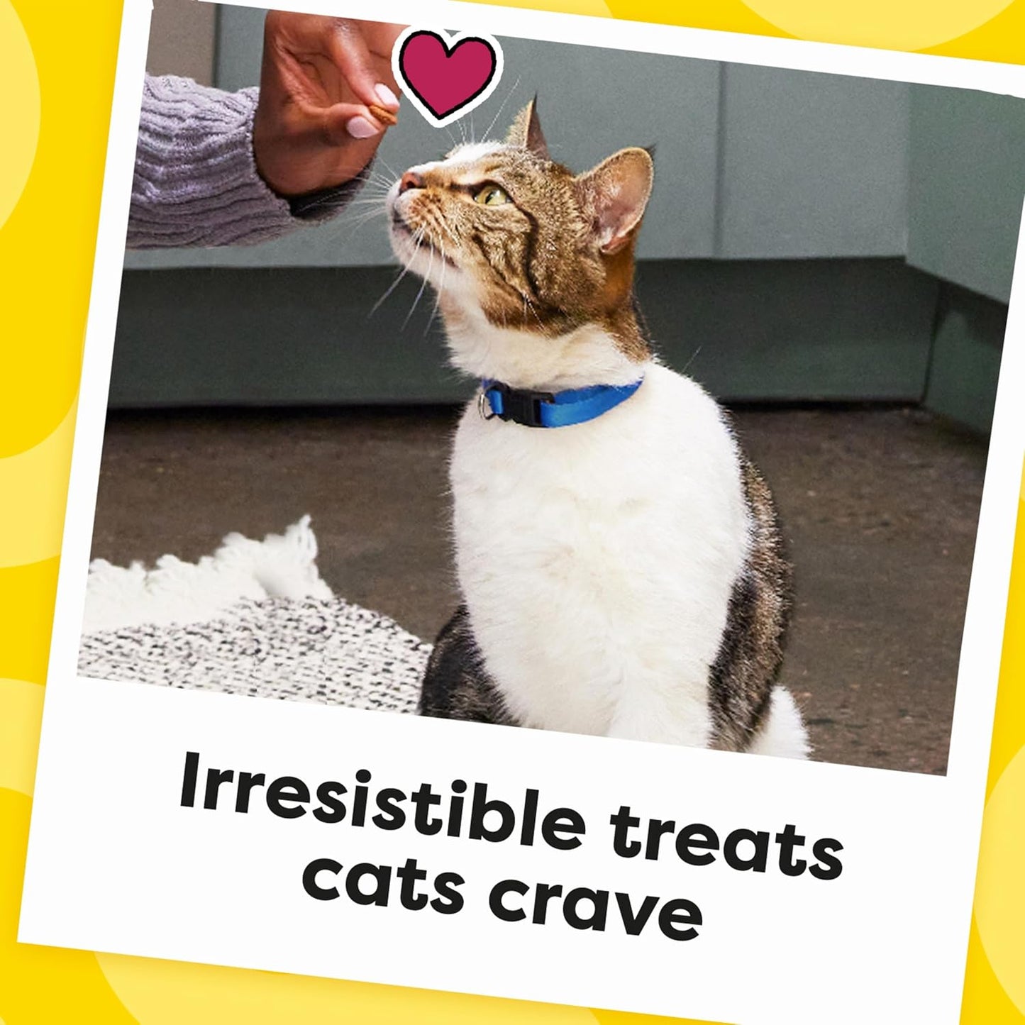 Temptations Cat Treats, Classic Crunchy and Soft Cat Treats, Blissful Catnip Flavor, Catnip Treats, 16 Oz. Tub