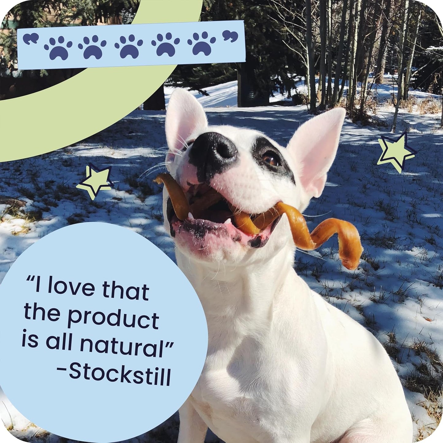 Pawstruck Natural 1–4" Bully Stick Bites for Small Dogs and Puppies – Single Ingredient, Digestible, Rawhide-Free, High-Protein Chew Treat Bones – 8 Oz Bag – Packaging May Vary
