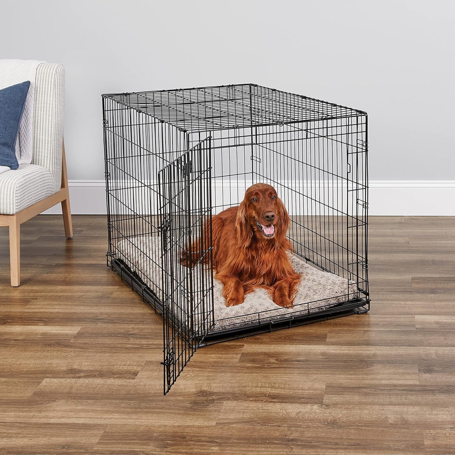 Midwest Homes for Pets 42-Inch Icrate for Large Breeds, 71-90 Lbs, Single Door Folding Dog Crate with Divider Panel, Leak-Proof Tray & Secure Latch, Portable, Durable & Easy to Assemble