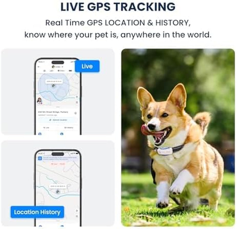 DBDD AI GPS Tracker for Dogs (White) with Virtual Fence & Real-Time Location - Waterproof Electronic Collar for Escape Artists, AI Health Monitor for Medium to Large Dogs (30Lbs+), Ios & Android