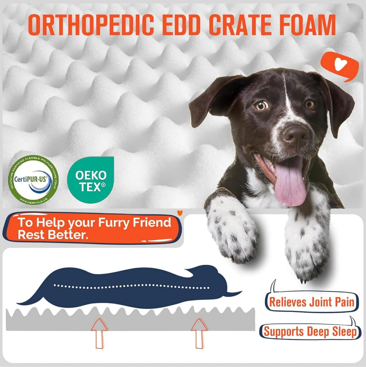 Simple Trending Orthopedic Dog Bed for Large Dogs with Removable Cover