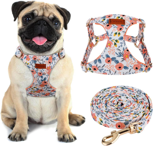 CHEDE No Pull Floral Pattern Dog Harness- Lightweight, Soft, Adjustable Small Harness and Leash Set, Suitable for Puppy Small and Medium-Sized Dog (S, Orange Rose)