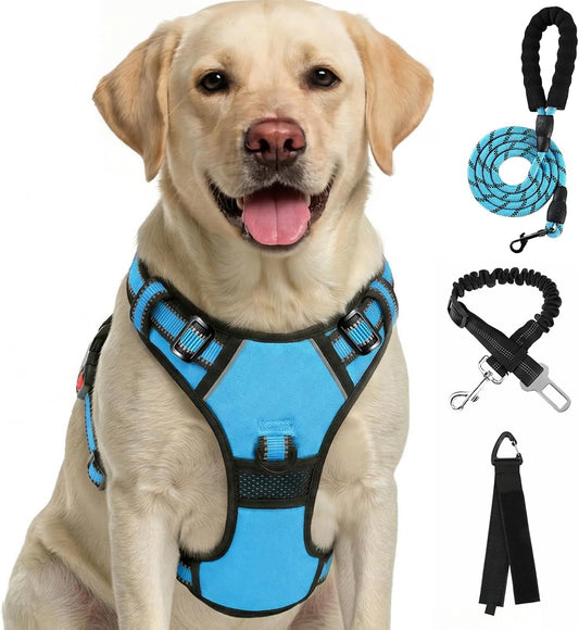 FURRYFECTION Plaid Dog Harness with Leash and Seat Belt Set, Blue, L