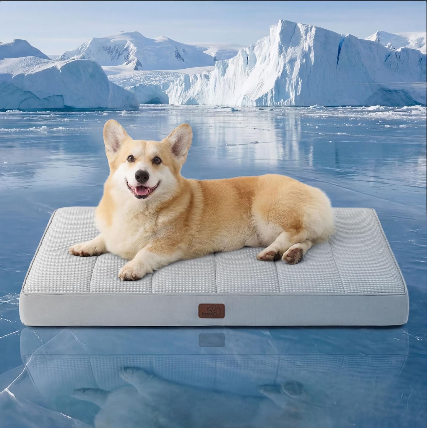 Cooling Dog Bed for Crate - Large Comfy Flat Puppy Beds with Removable Washable Cover, Orthopedic Egg Crate Foam Pet Mat, Suitable for Pet up to 50 Lbs