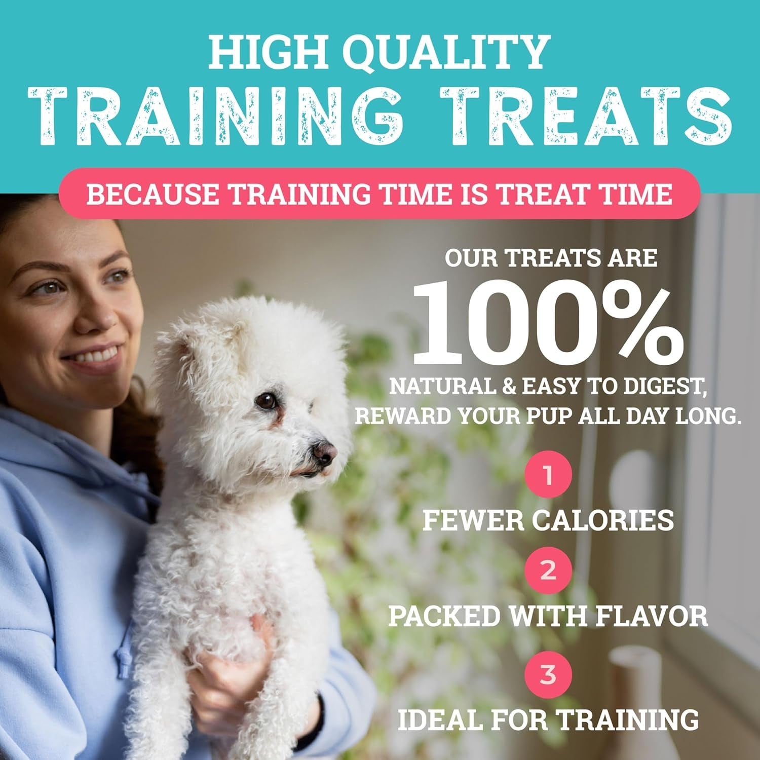Etta Says! Training Treats - All Natural Pork and Bacon Soft Treats for Dogs - Made in the USA (16 Oz Pack of 1)