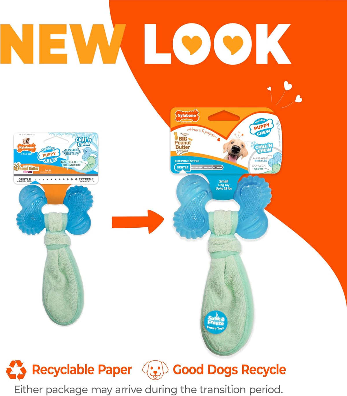 Nylabone Puppy Chew 2-In-1 Teething Freezer Bone Dog Chew Toy, Small