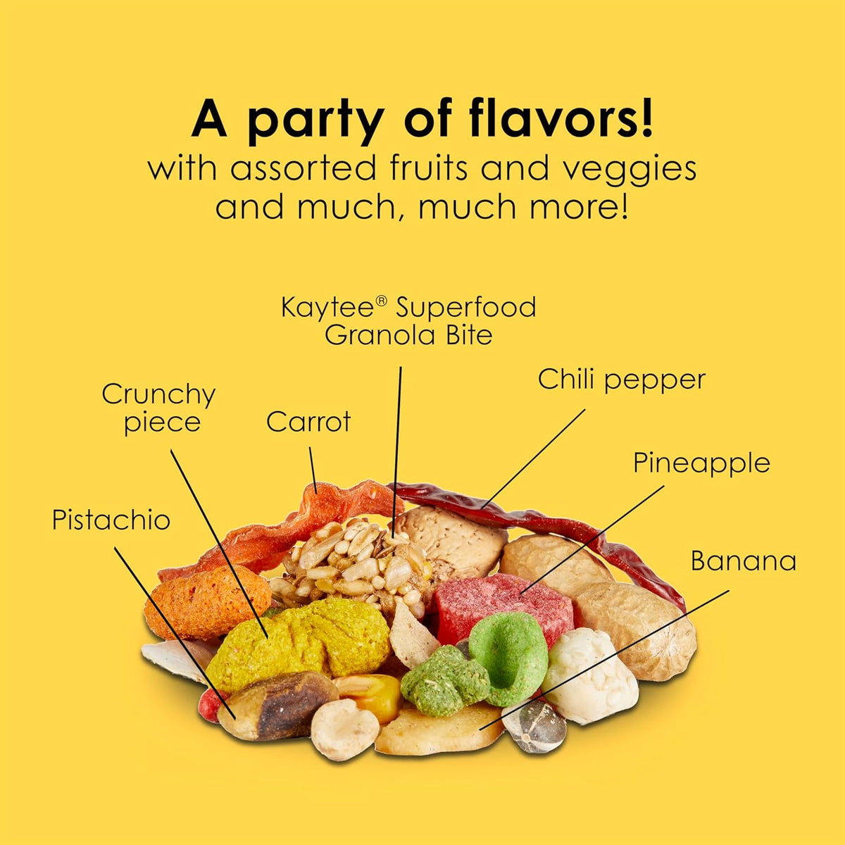 Kaytee Fiesta Parrot Food for Large Birds, 2.5 Pounds