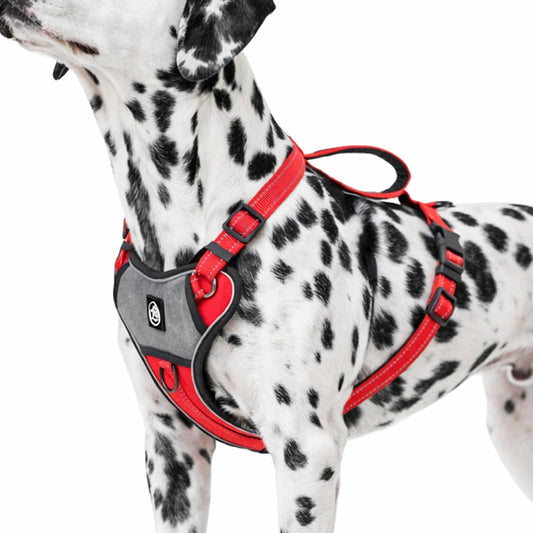 EVERKING No Pull Dog Harness, Reflective Adjustable Pet Harness with Front Clip, Soft Breathable Walking Vest for Small Medium Large Dogs (Red, S(Suitable 15-22LB))