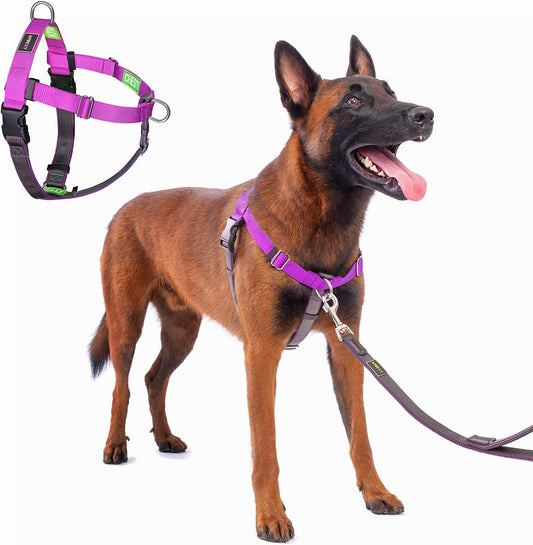 Freedom No Pull Dog Harness, Purple, Medium/Large