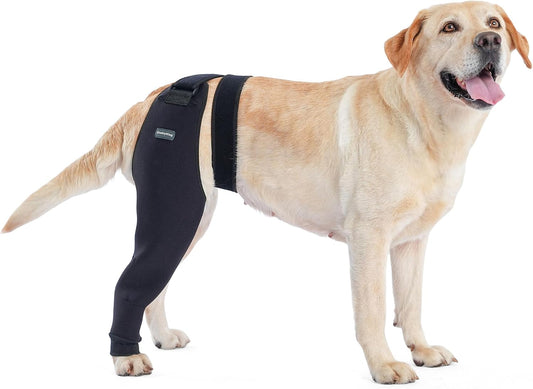 Single Dog Rear Leg Sleeve to Stop Licking, Breathable Dog Recovery Suit for Post Surgery, Comfortable Back Leg Sleeve for Wound Healing,Alternative to Cone Collars (Xlarge)