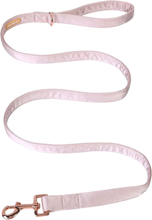 Silk Dog Leash Durable Dog Leashes with Welded D-Ring Comfortable Handle for Small Medium Large Dogs Z-Princess