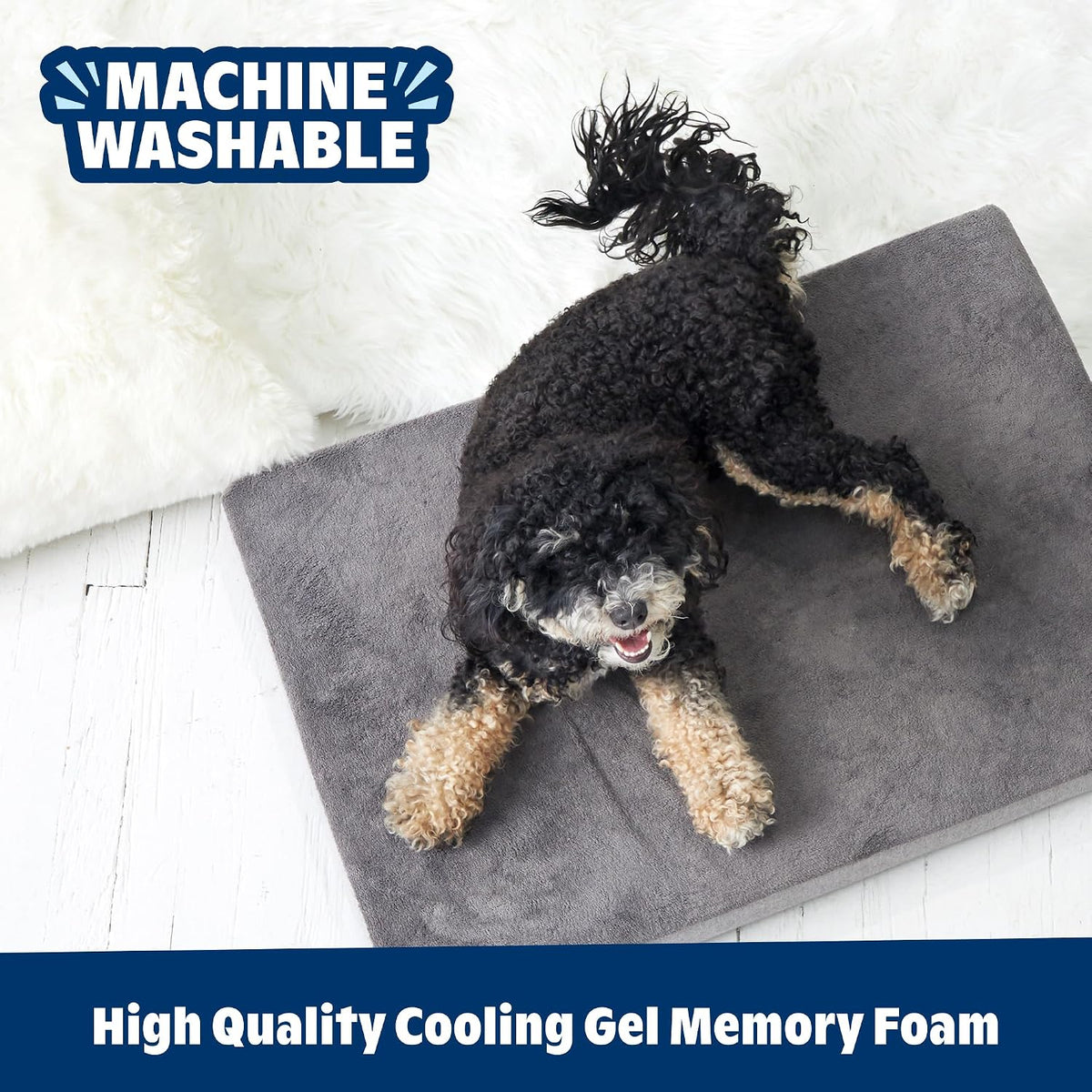 Barkbox Orthopedic Dog Bed - Medium