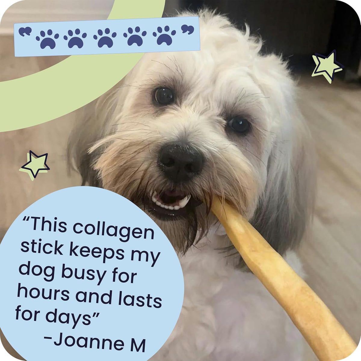 Pawstruck All Natural 5-6" Roasted Collagen Sticks for Dogs – Low Odor & Long-Lasting Bully Stick Alternative, Single Ingredient & Vet Approved – 10 Pack