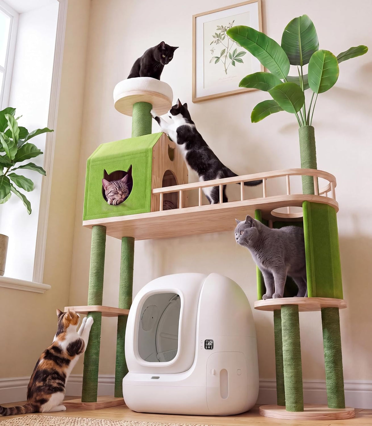 Solid Wood Cat Tree for Automatic Litter Box, 57.8 Inches Green