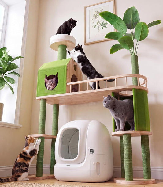 Solid Wood Cat Tree for Automatic Litter Box, 57.8 Inches Green