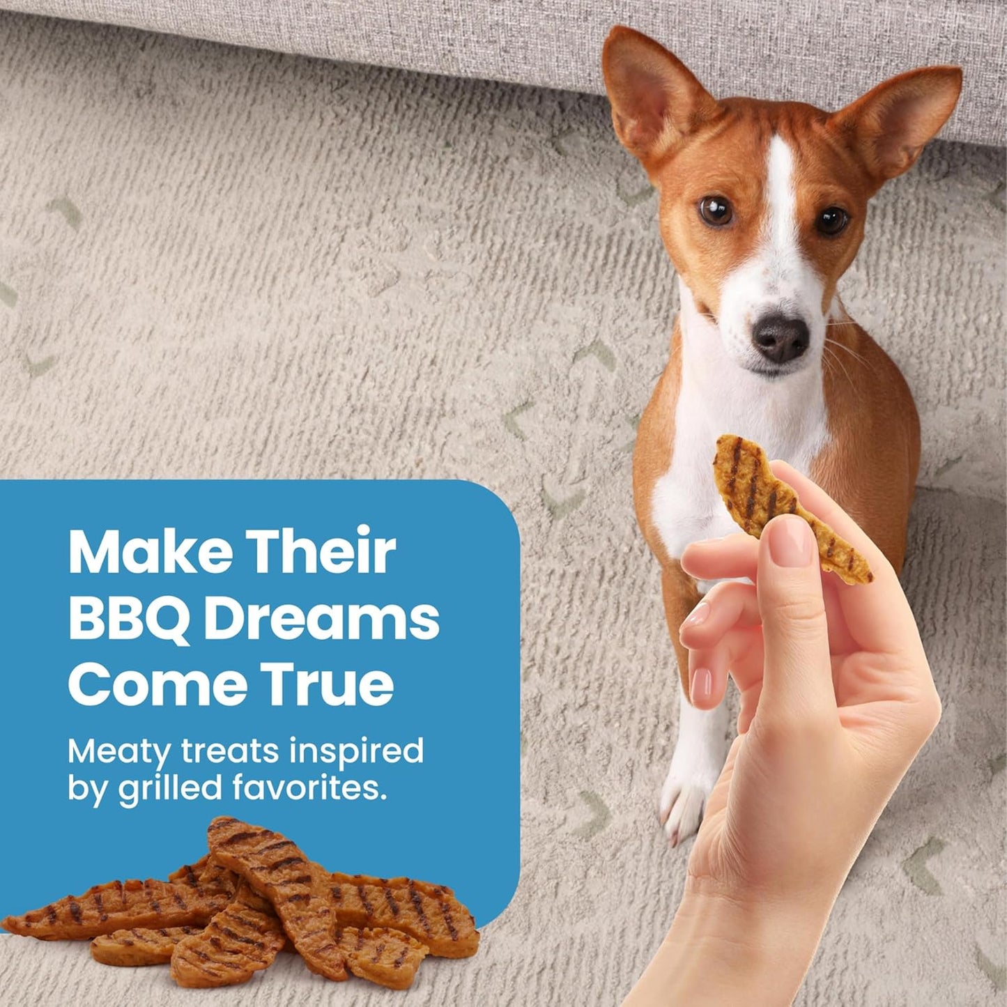 Blue Buffalo Nudges Chicken Grillers Natural Dog Treats, Tender & Meaty Dog Snacks, Easy-To-Tear for Training, Made in the USA with Real Chicken, No Artificial Preservatives, 16 Oz.
