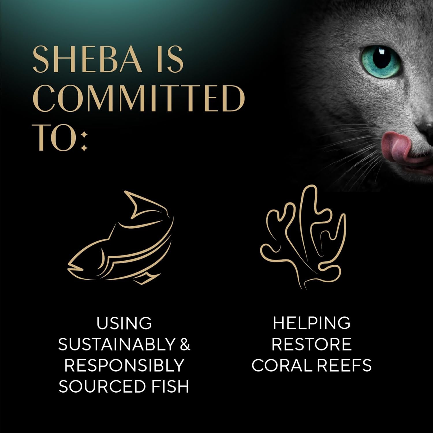 Sheba Perfect Portions Wet Cat Food Pate Savory Chicken, Roasted Turkey, with Sustainable Salmon, and Tender Whitefish & Tuna Variety Pack, 2.6 Oz. Twin-Pack Trays (48 Count, 96 Servings)