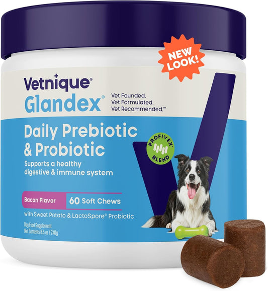 Vetnique Glandex Dog Probiotic Chews, Daily Probiotics for Dogs 5 Strains, Prebiotics & Digestive Enzymes for Gut & Immune Health, Vet Formulated for Occasional Diarrhea (60Ct Chews, Probiotic Chews)