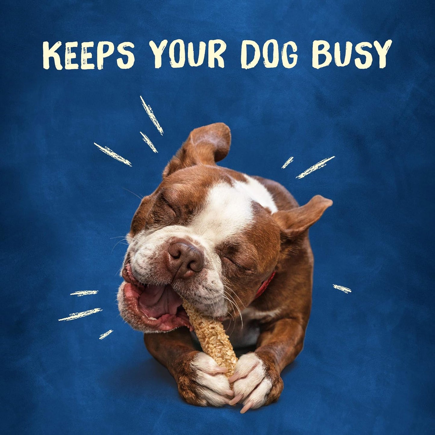 Purina Busy Rawhide Small/Medium Breed Dog Bones, Chewnola with Oats & Brown Rice - 10 Ct. Pouch