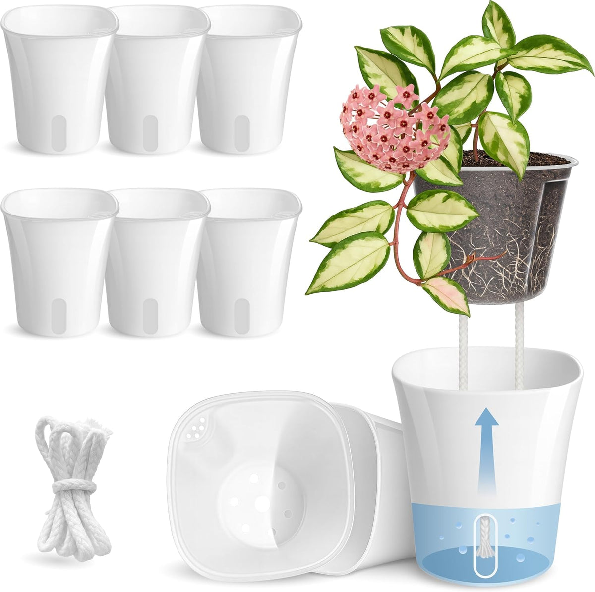 8 Pack 4" Self Watering Pots for Indoor Plants, Clear Inner Cup, Small White Plastic Planters, Water Level Indicator, Drainage Holes, Extra 3Ft Wick, Cuttings,Seedlings,Herb,African Violets