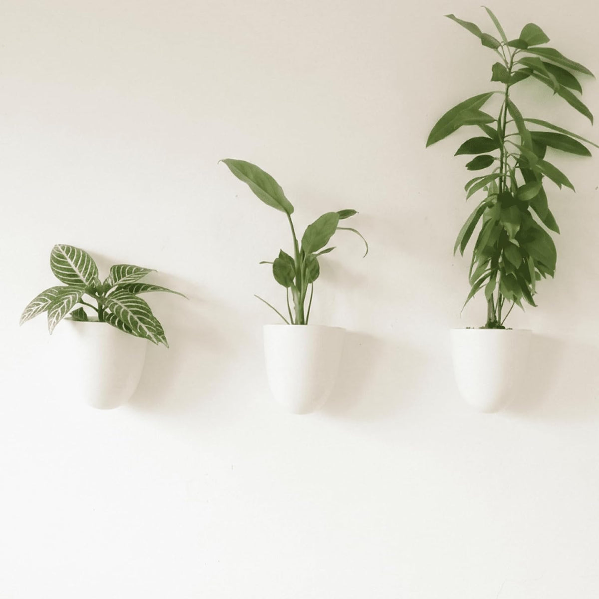 Make Good Plantpod Luxe Self-Watering Wall Planters (Set of 3) - Easy to Water and Install - Lightweight - Design Your Own Vertical Garden - Wall Planters for Indoor Plants