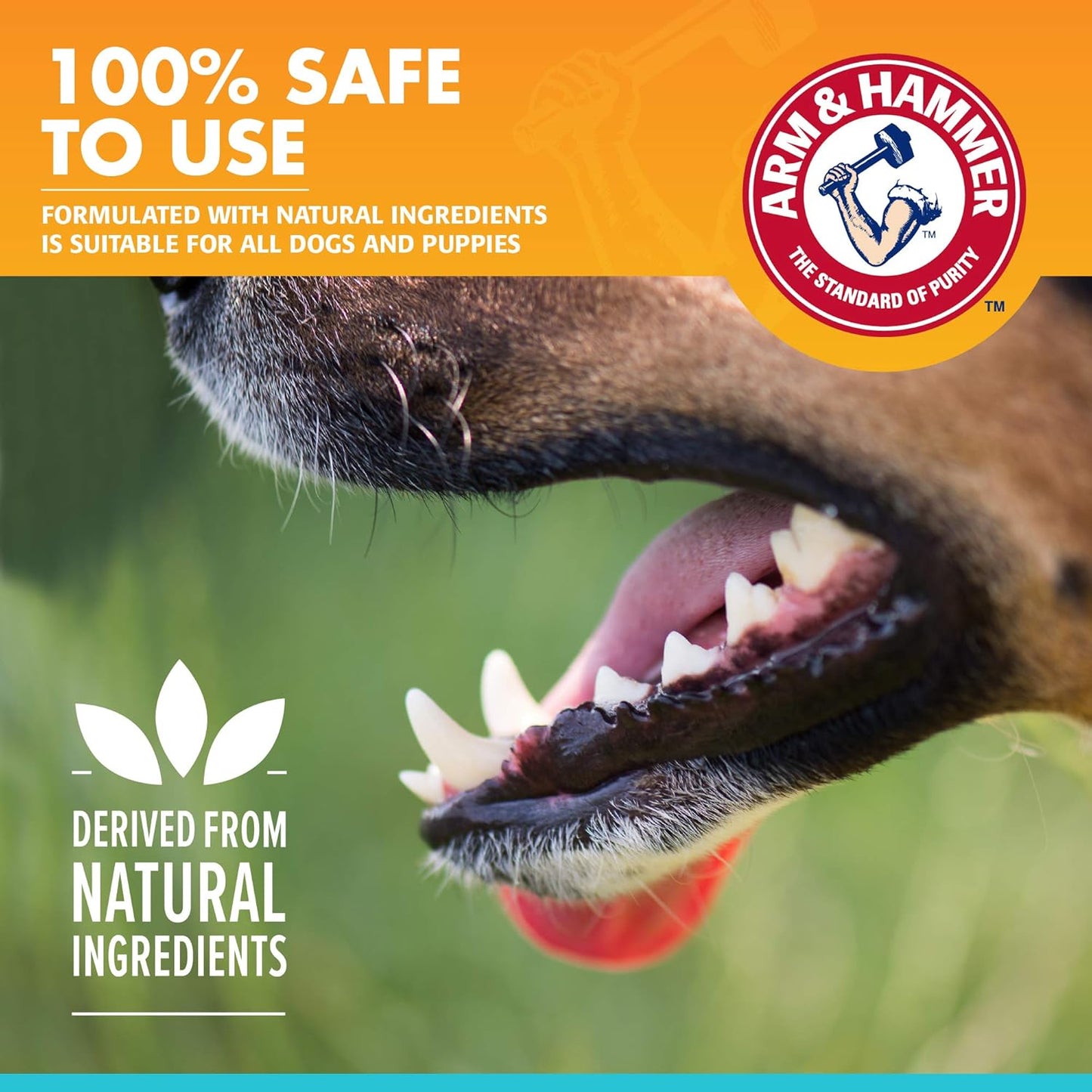 Arm & Hammer for Pets Fresh Breath Enzymatic Dog Toothpaste Vanilla Ginger Flavor Baking Soda Dental Gel Eliminates Bad Breath Safe Puppies Adult Dogs Daily Use 2.5 OZ Single at Home Dental Care