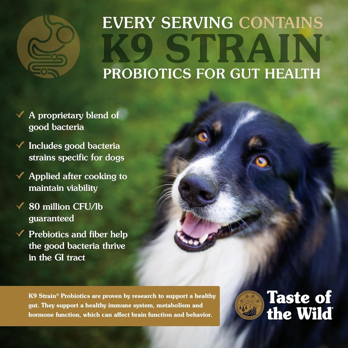 Taste of the Wild Ancient Stream All Life Stages High Protein Recipe with Smoke-Flavored Salmon & Ancient Grains Dry Dog Food 28Lb