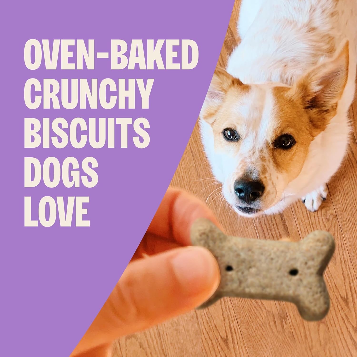 Wellness Old Mother Hubbard Classic Original Mix Dog Biscuits, Natural Training Treats, 4 Flavors, Mini Size, 3.8 Lb Bag